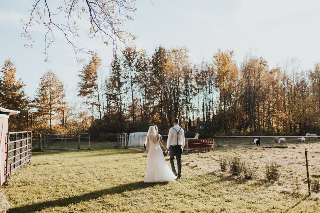couple walking along pasture fences during sunset