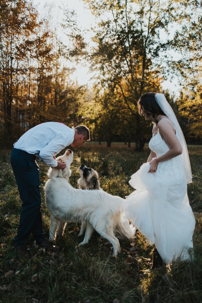 couple playing with their dogs in the pasture