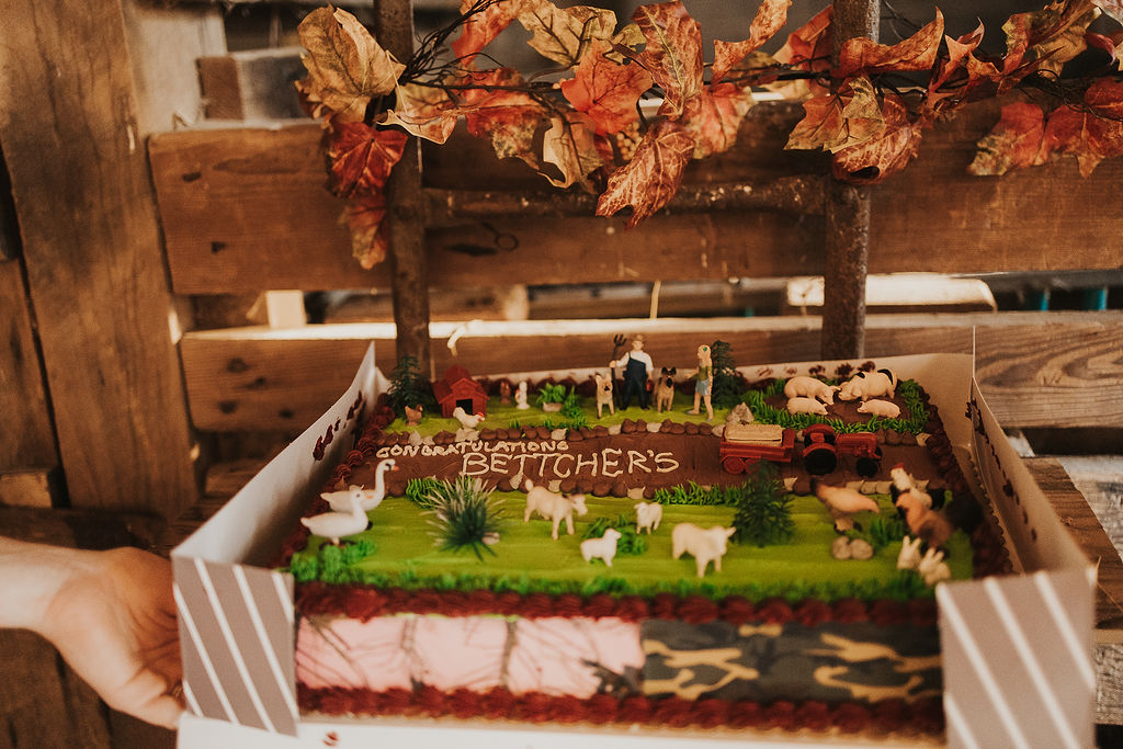 cake decorated of the farm and animals