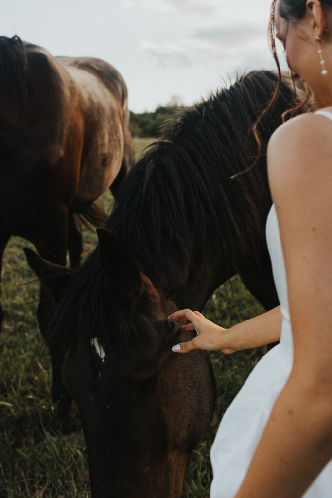 bride pets horses in field