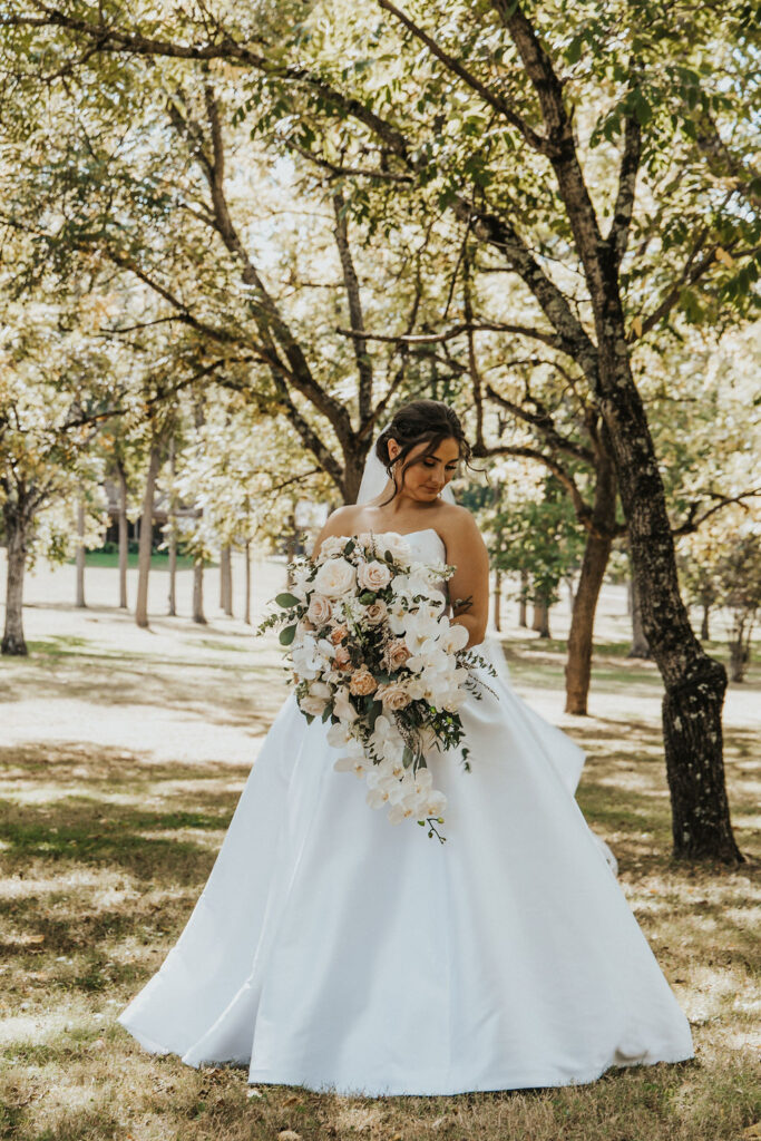 bridal portraits with trees in the background